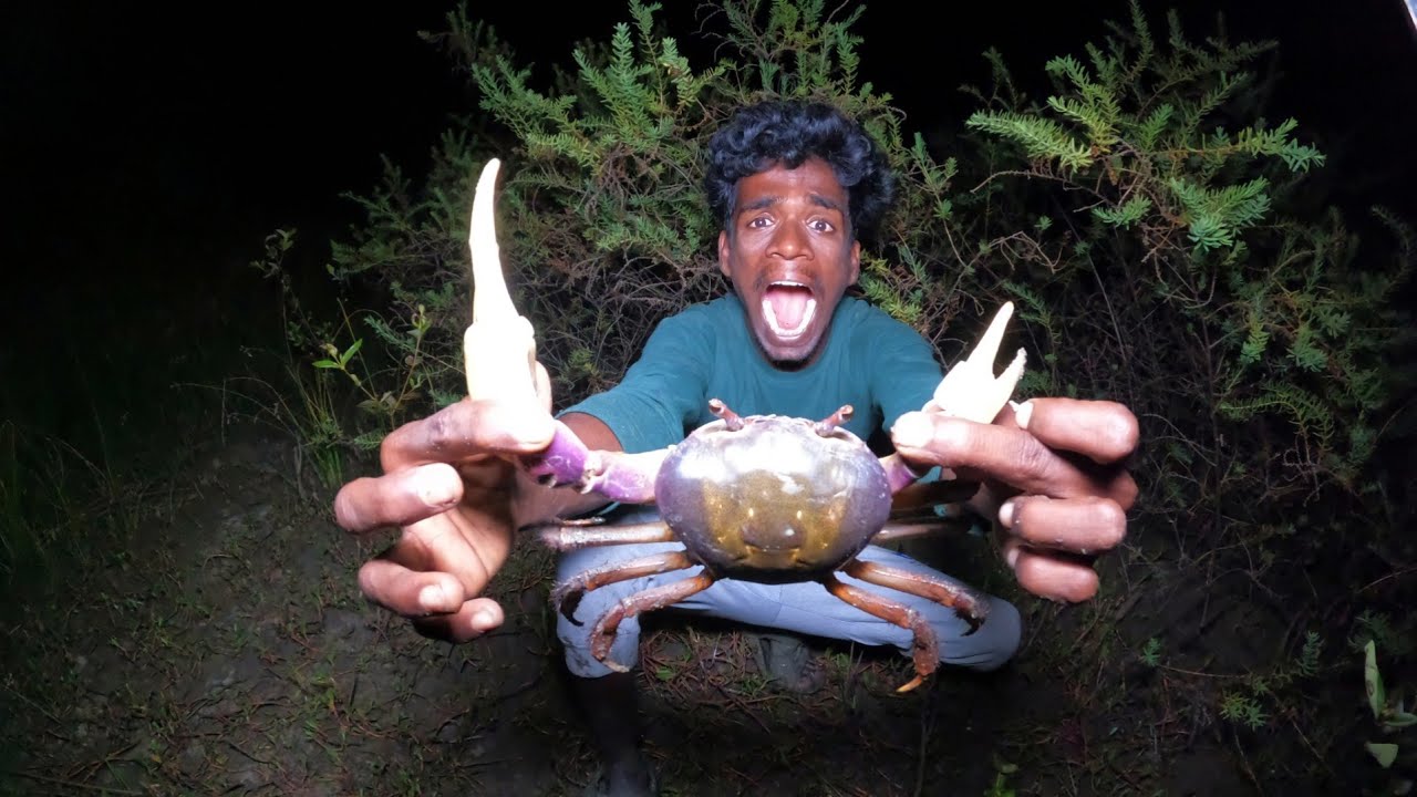 Giant Land Crab Hunting 🦀| mangroves forest crabs catching & fire cooking 😋|Venu Hunting