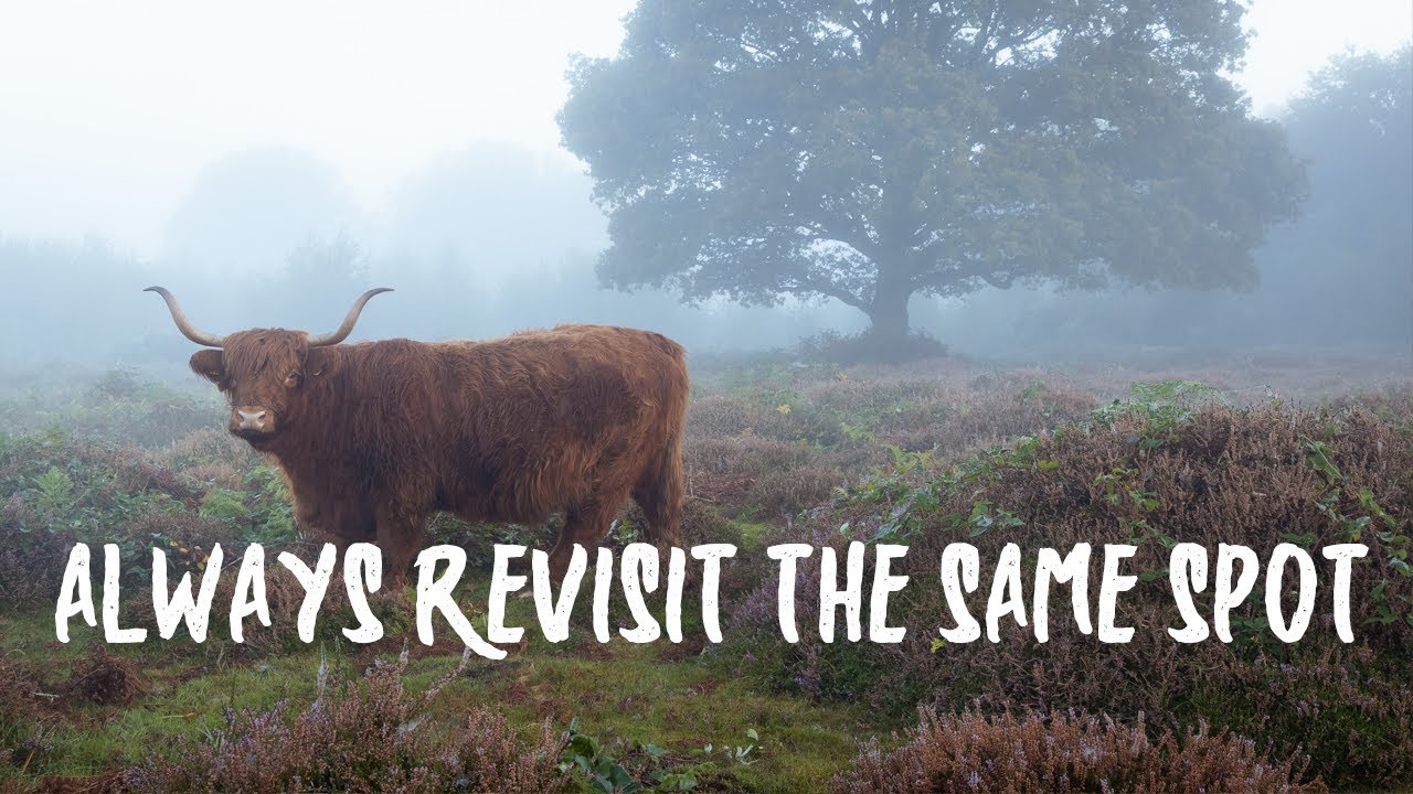 LANDSCAPE PHOTOGRAPHY: Always REVISIT the SAME spot