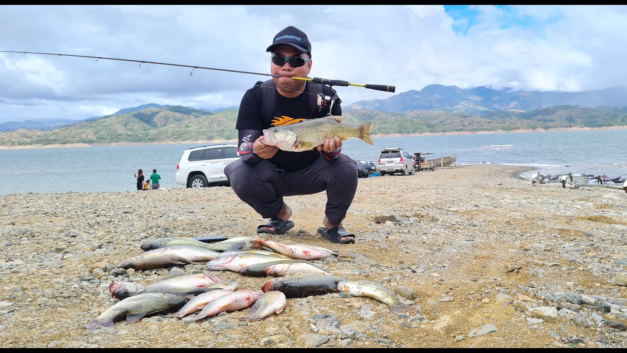 large mouth bass... andami at anlalaki...Pantabangan Lake... ( ep 12 )
