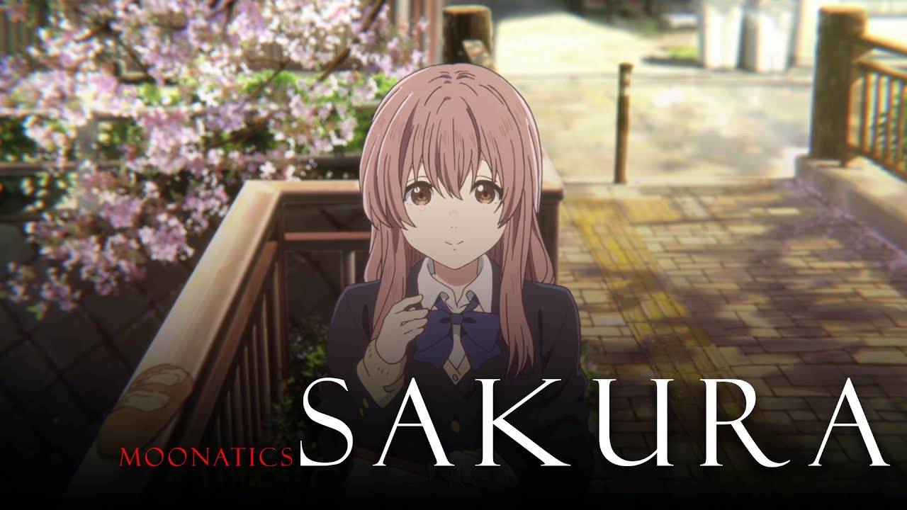 【Lời Việt】IKIMONOGAKARI - SAKURA - Koe No Katachi AMV「Tán Anh Đào」Moonatics