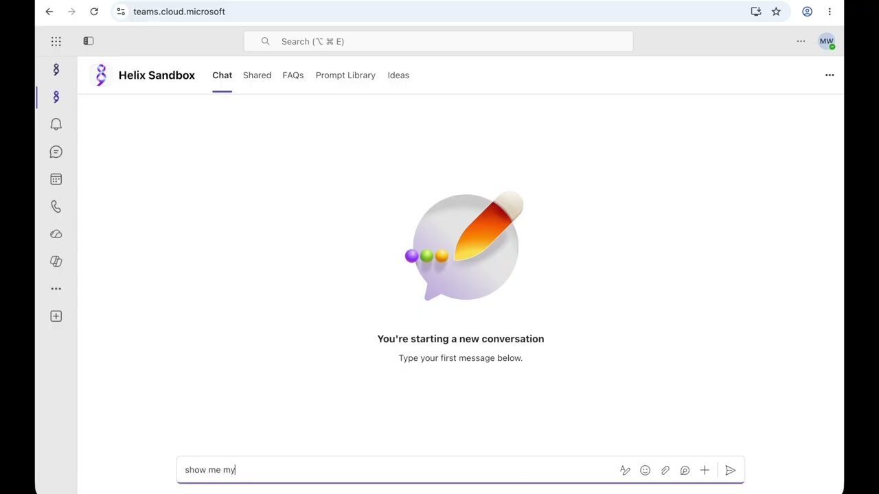 Manager leave balance DEMO