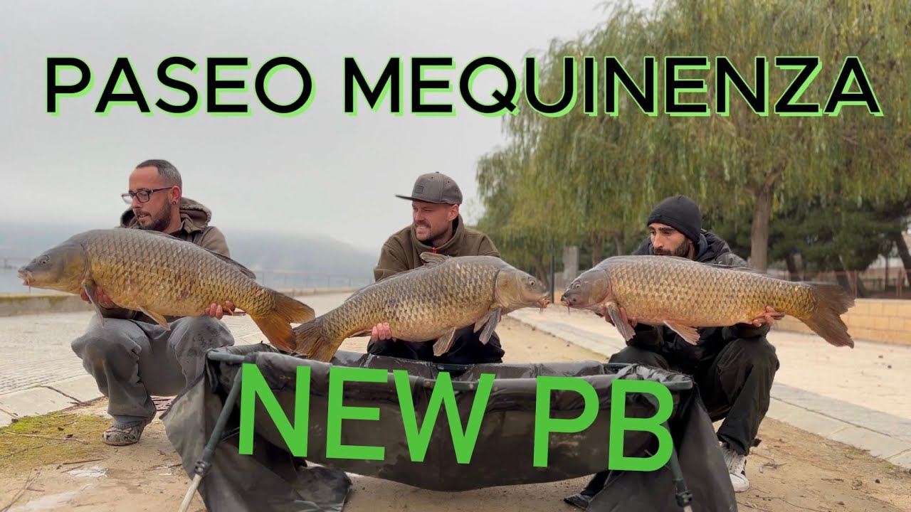 PASEO// NEW PB// MEQUINENZA
