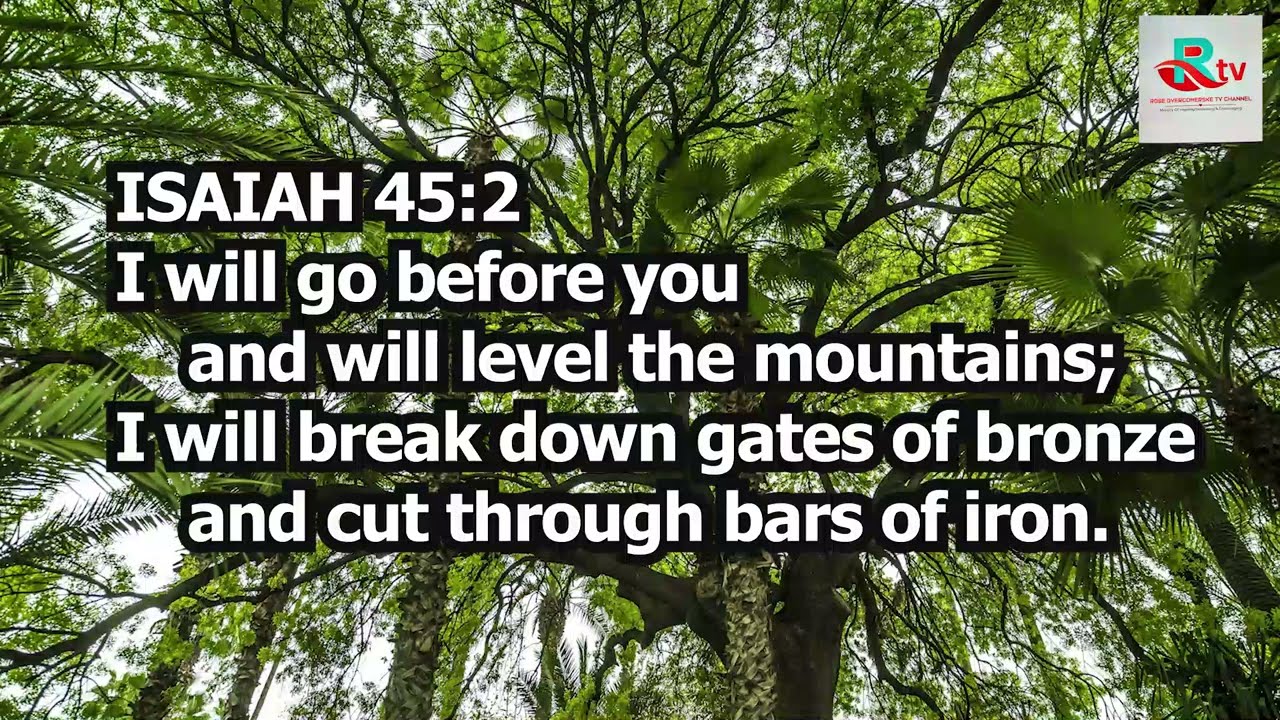 BIBLE STUDY MOMENT