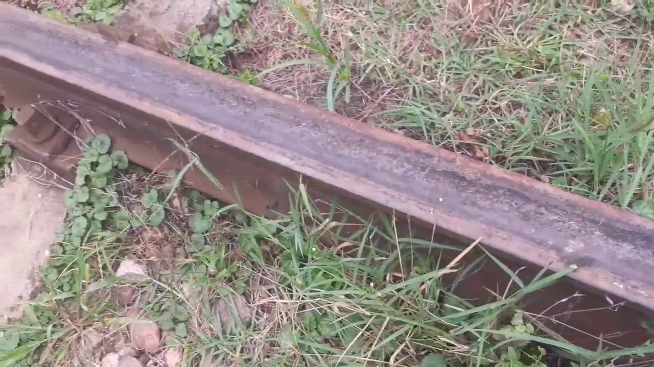 L45H-051 izolată prin Genuneni