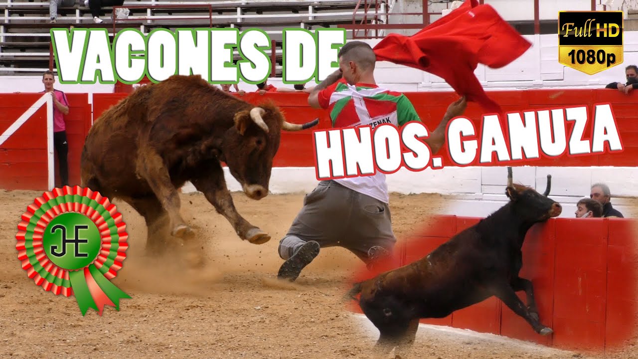 VACONES DE HNOS. GANUZA!! Buenos quiebros!