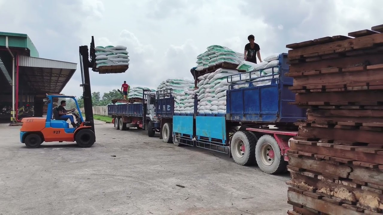 Ngisi baja lo pagi to..Dua buah niki ke betong lemai to lg..🙂 