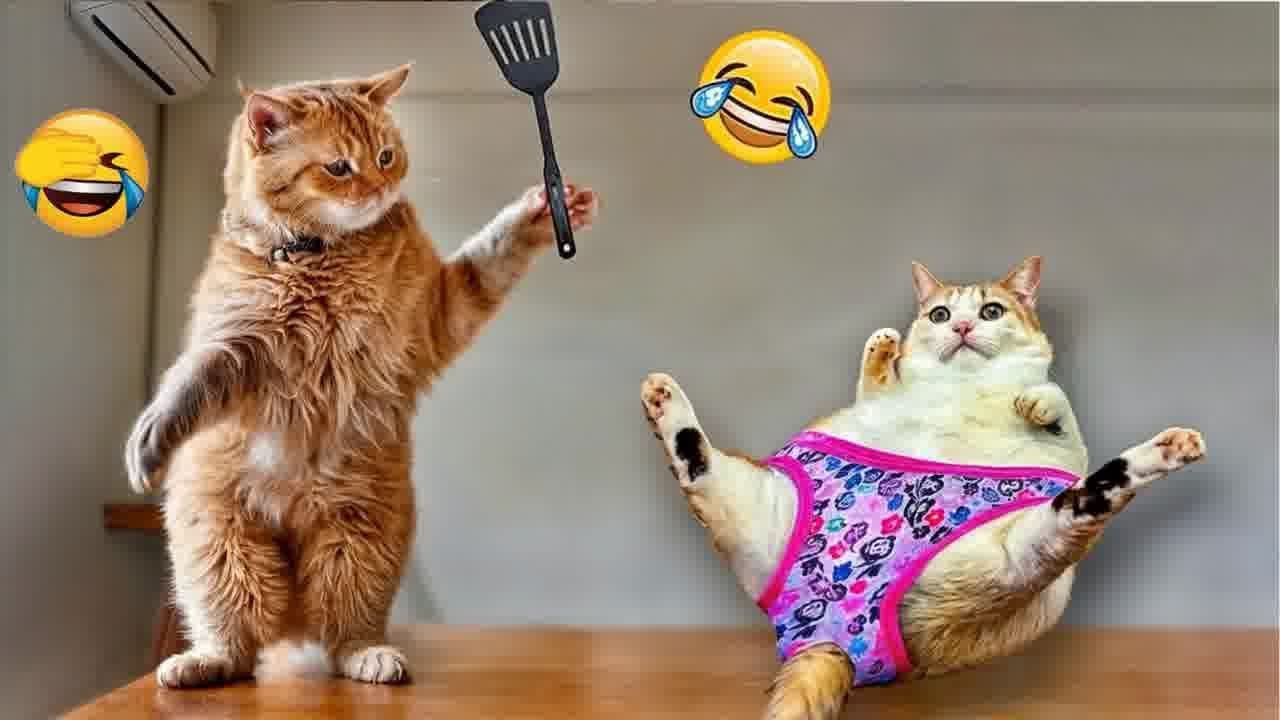 You Laugh You Lose 😁🐶 Funniest Dogs and Cats 2024 😛