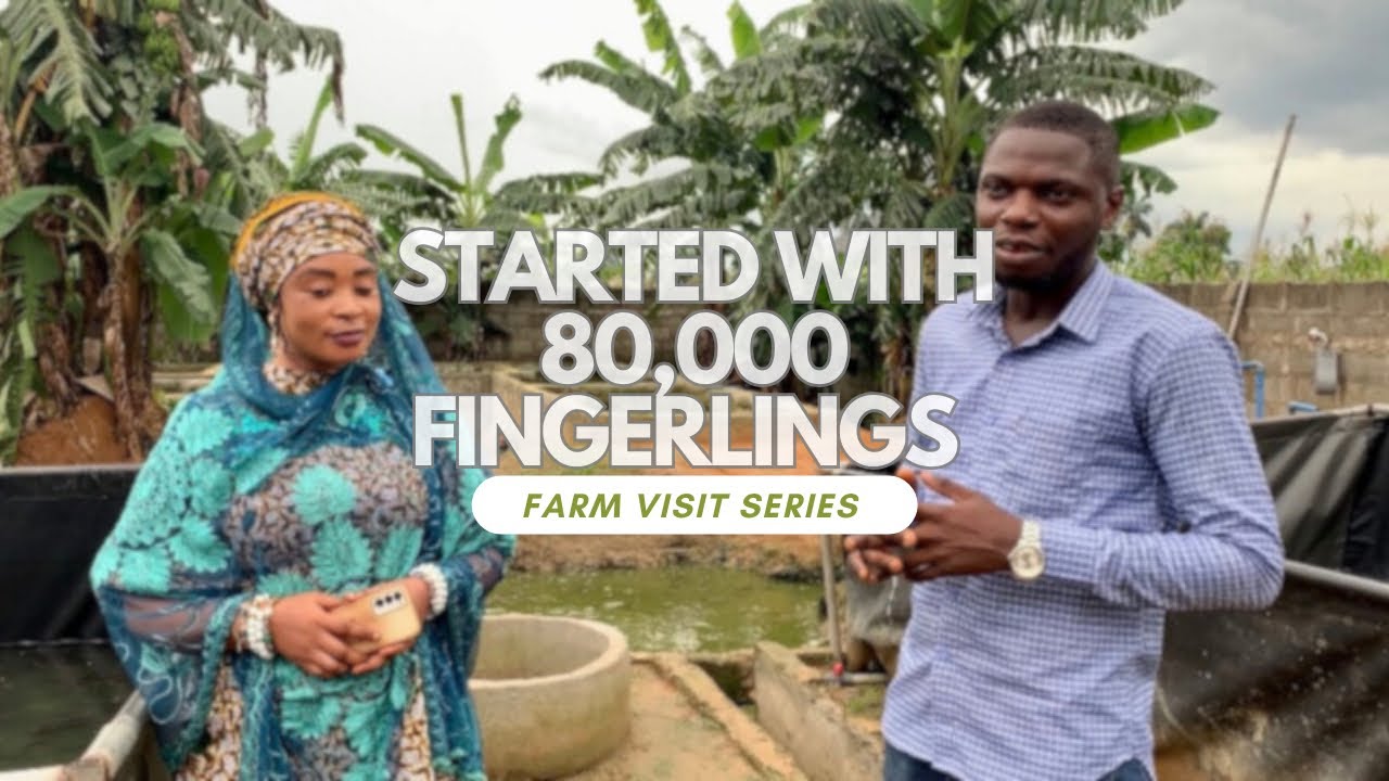 How She Started Catfish Farming with 80,000 Fingerlings #catfishfarm #farmvisit