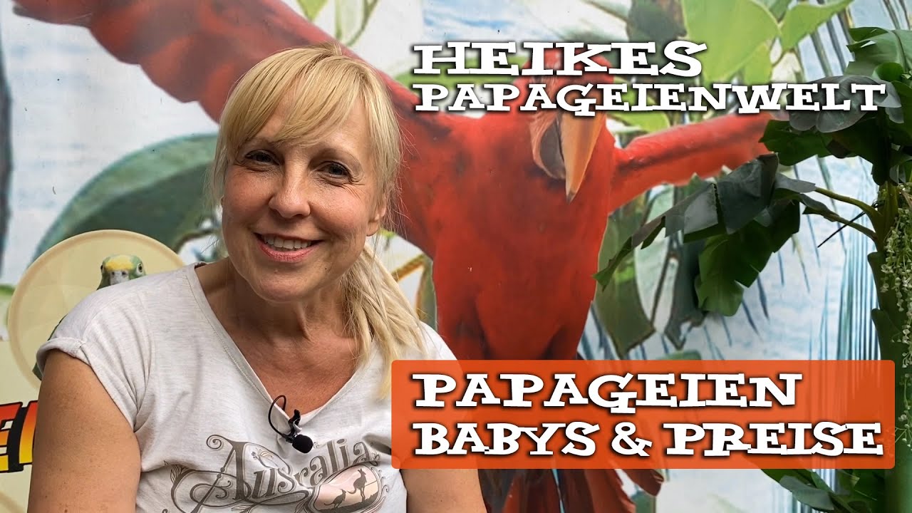 Heike Mundt kl&auml;rt auf: Kauf von Papageienbabys und wie sich Preise f&uuml;r Papagien zusammensetzen