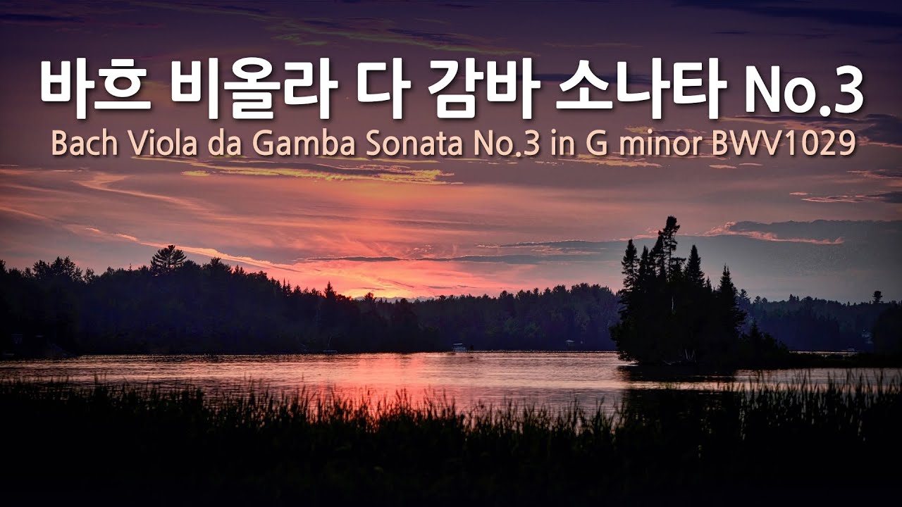 바흐 비올라 다 감바 소나타 No.3 G단조 BWV1029 | Bach Viola da Gamba Sonata No.3 in G minor BWV1029 | 안토니오 야니그로(첼로