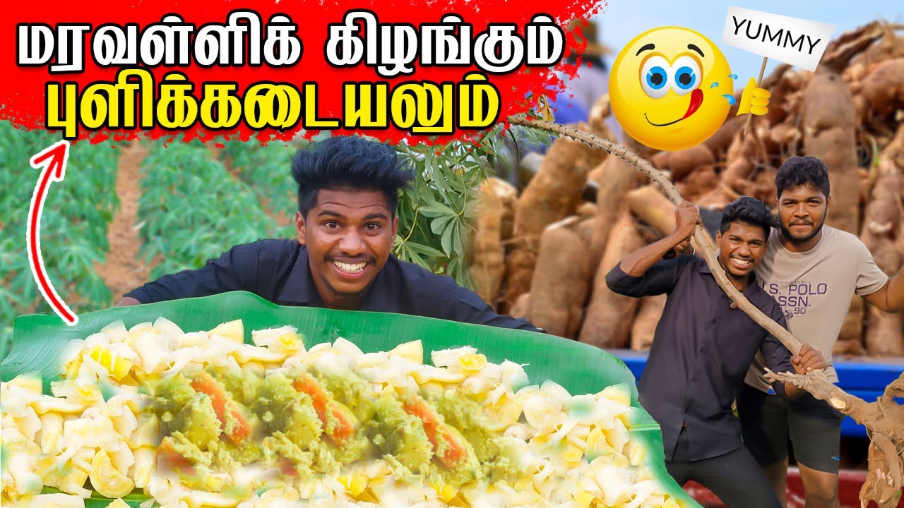 கிராமத்து முறைப்படி கிழங்கவியல் | இன்னைக்கு ஒரு புடி | Rj Tamizha