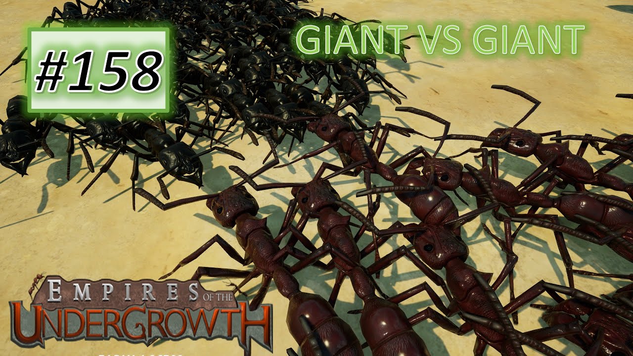 Empires of the Undergrowth #158: Battle of the Giants! Bullet Ant VS Stink Ant