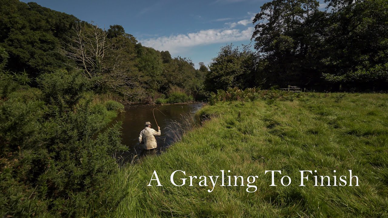 A Grayling To Finish       #flyfishing #riverfishing #trout #fishing