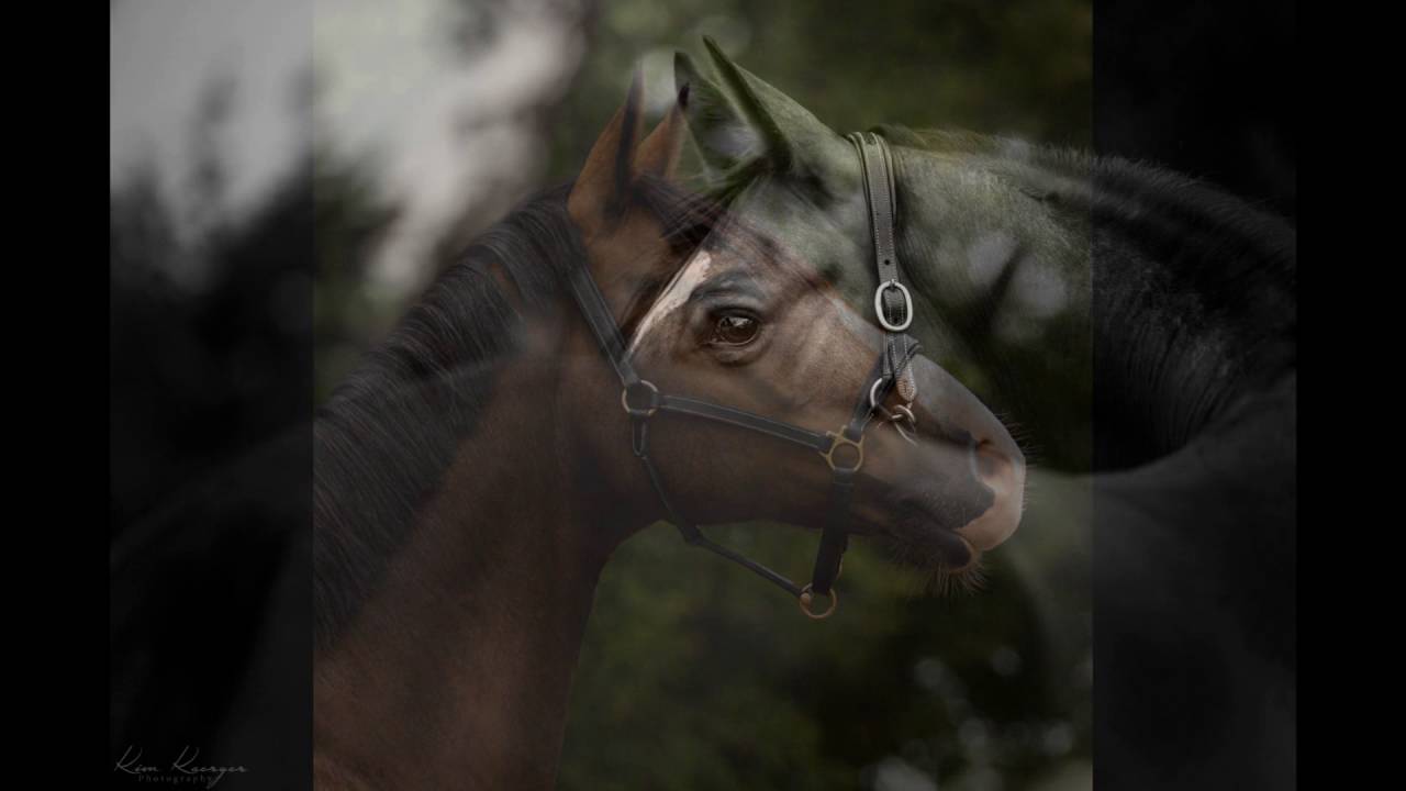 [FMA] Fotoshooting mit Candalo