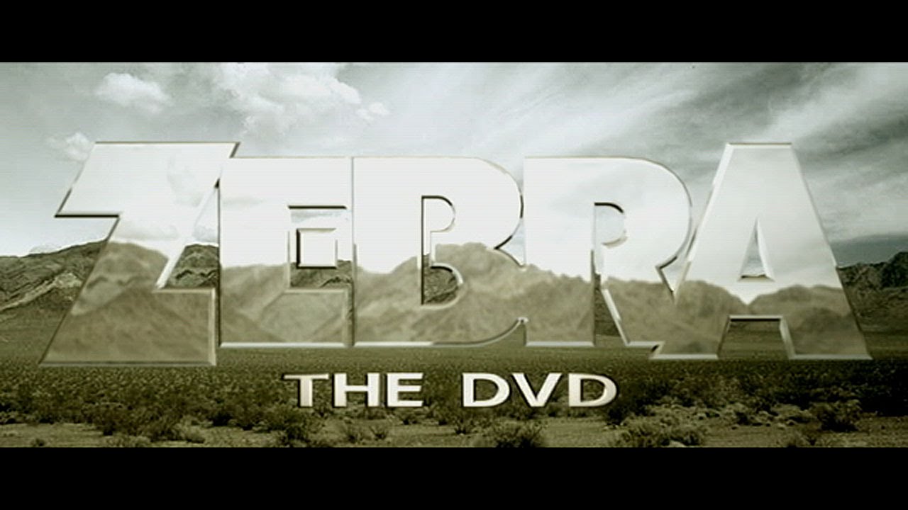 Zebra DVD Intro