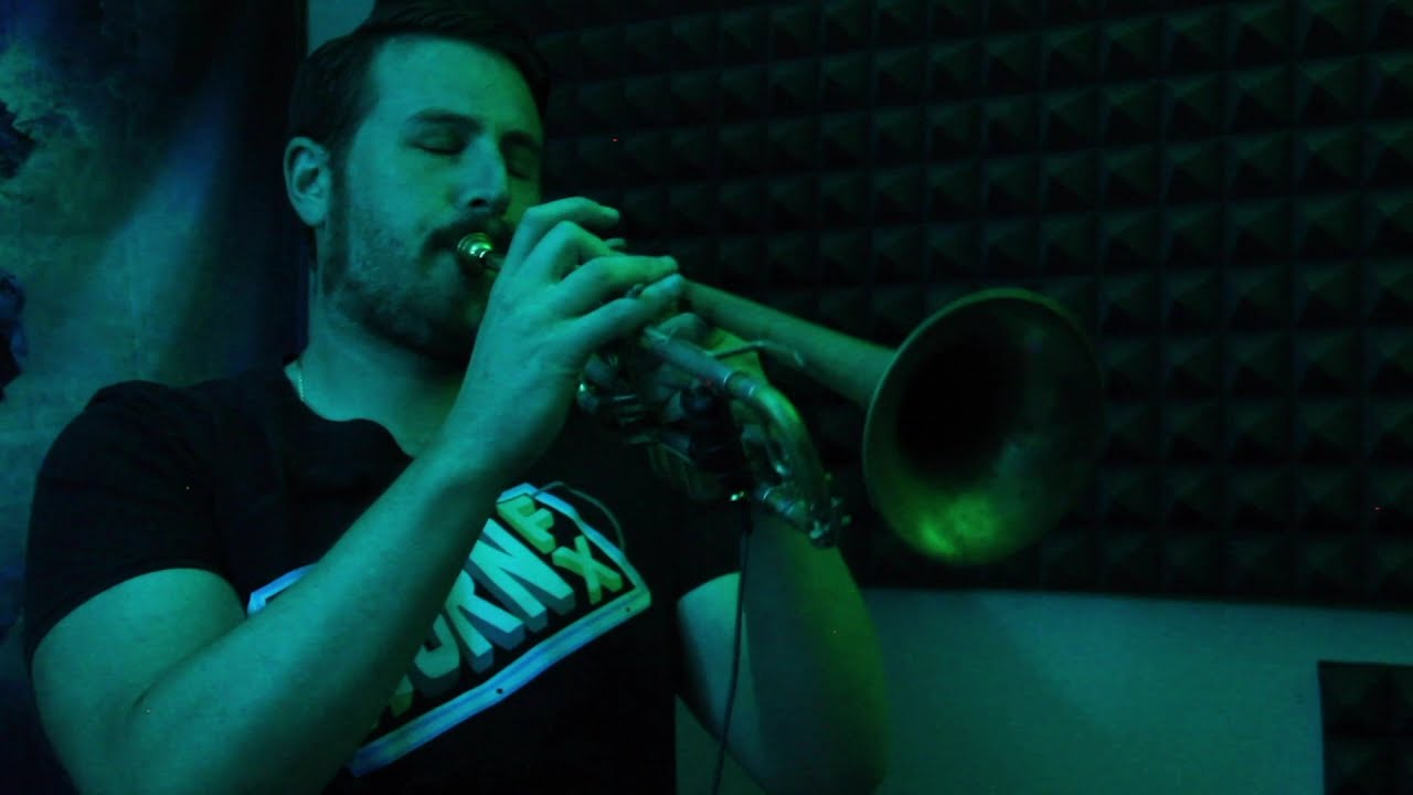 AARON JANIK - SEDATE