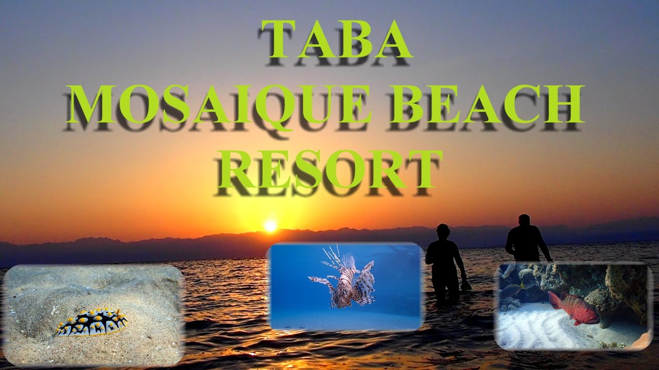 Mosaique Beach Resort    Egypt Taba -  Podmořský svět  2022