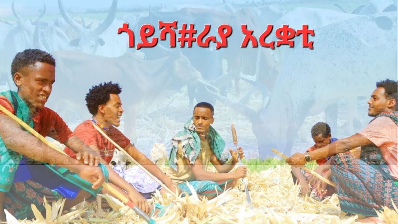 ጎይሻ#ራያ አረቋቲ _አዲስ _ነገር