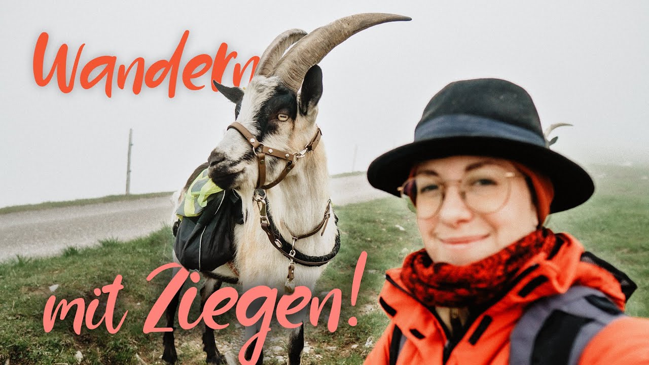 WAS DU NICHT SIEHST... | Ziegentrekking Naturpark Gantrisch