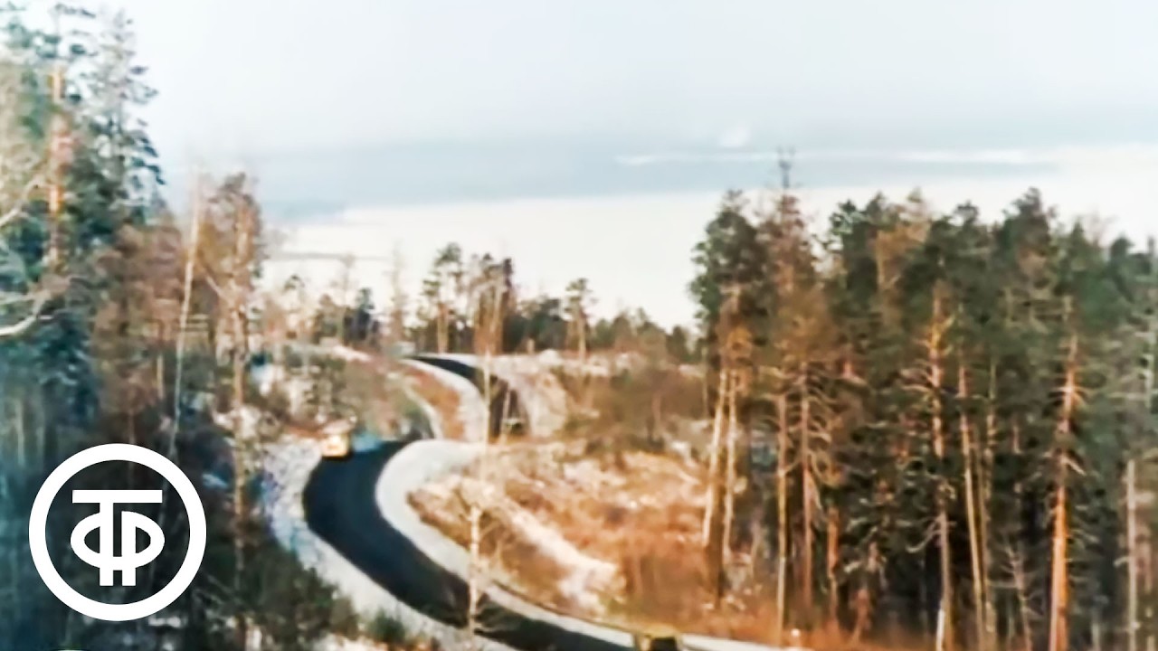 Город Братск. Начинается с тайги (1971)