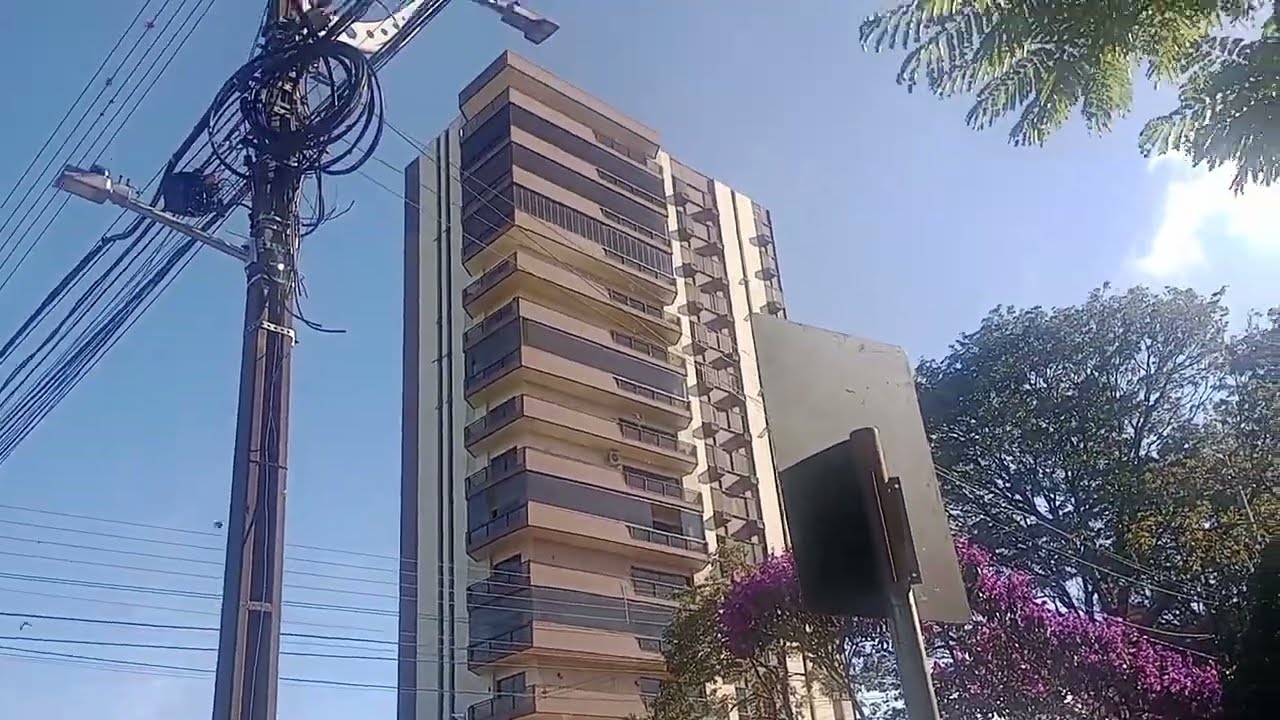 Um passeio pelas ruas da cidade e junto ao passeio,  está ela 🌹A Natureza 🍄‍🟫