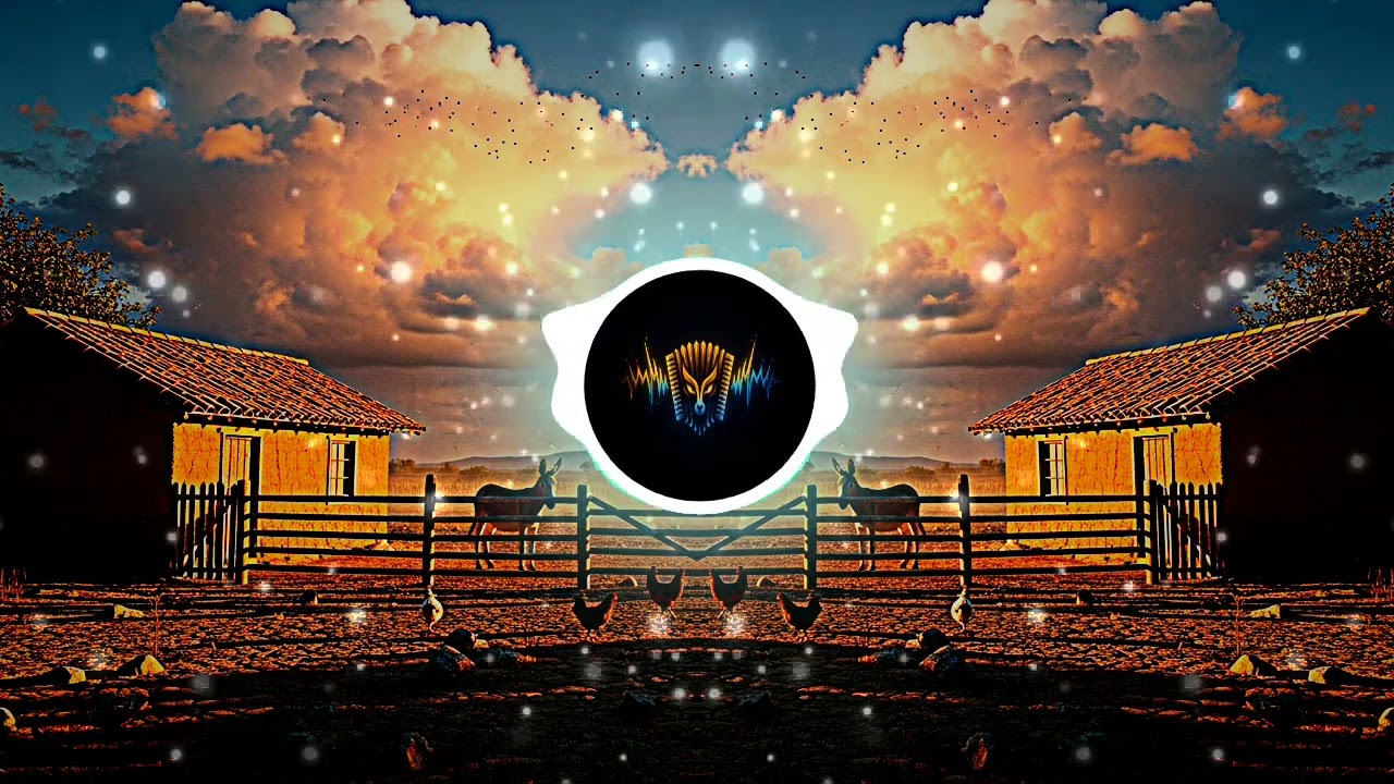 PISEIRO DO MOMENTO - #forrozão #piseiro #eletroforro #musica #forródequalidade