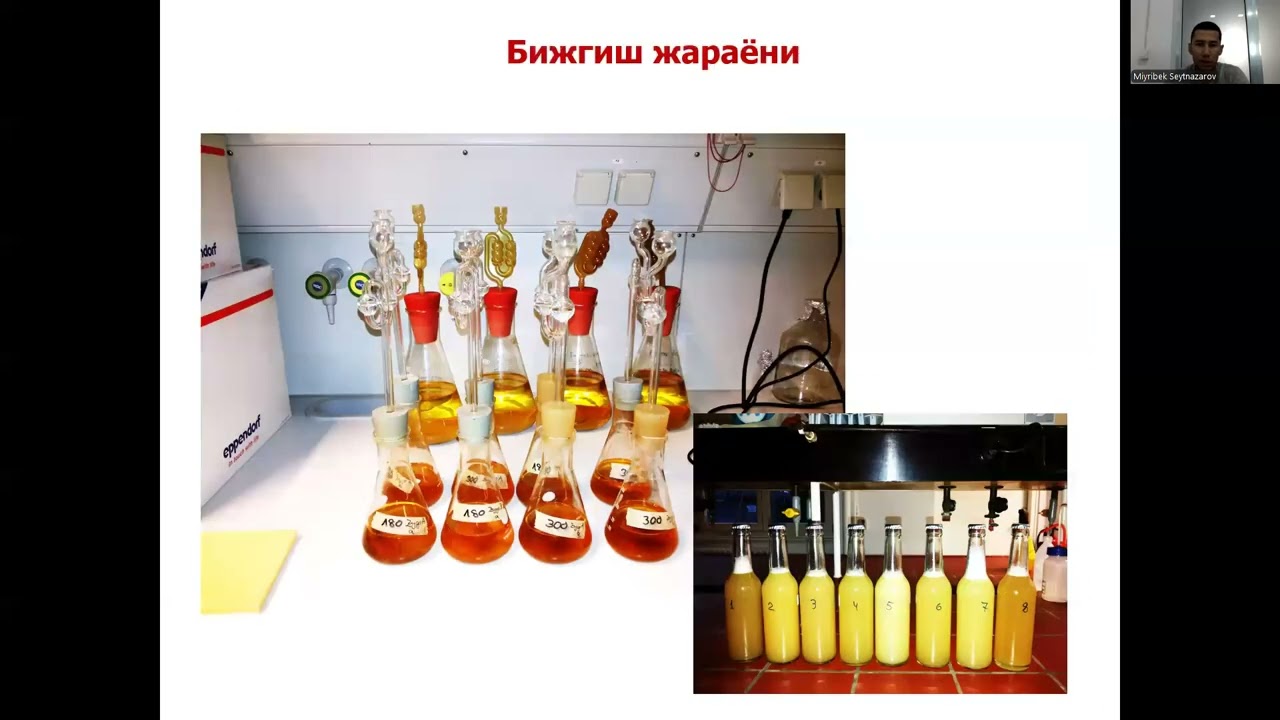 12 maruza Xususiy mikrobiologiya  Mikrobiologik laboratoriyada ishlash qoidalari