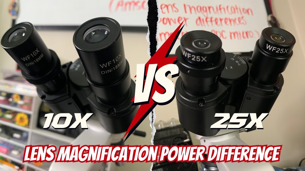 Lens Magnification Power Differences in the Amscope B120C Microscope