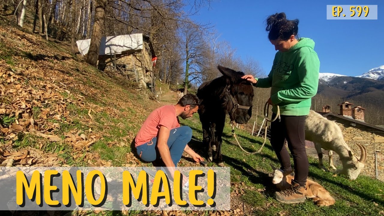 Per FORTUNA NIENTE di GRAVE - Ep. 599