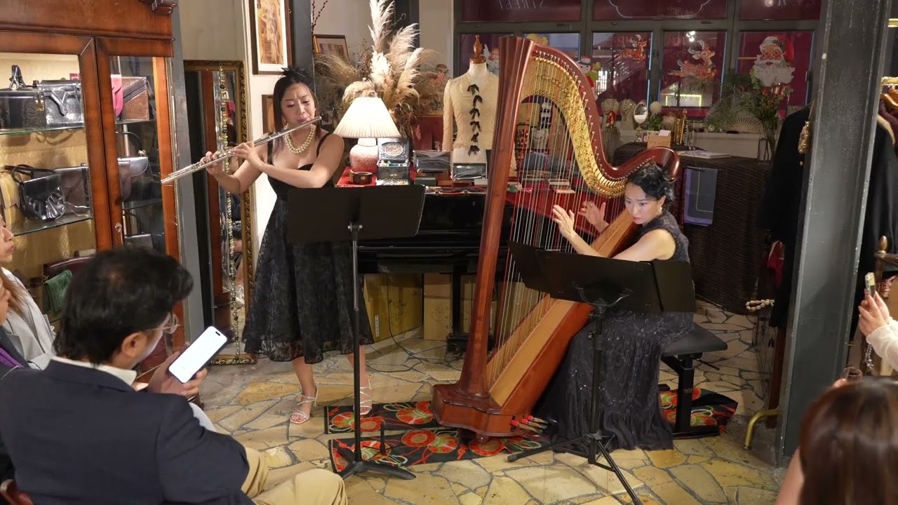 Skyfall (Flute & Harp)