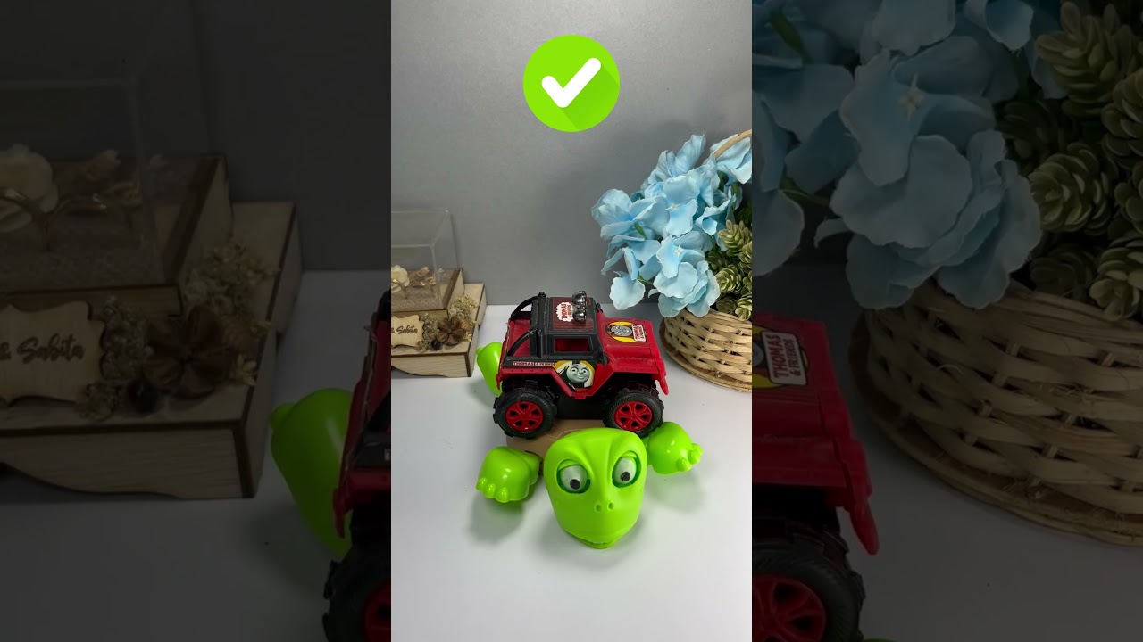 Turtle Coaster - Cute adorable turtles #turtle #coaster #turtlecoaster #fyp part 72