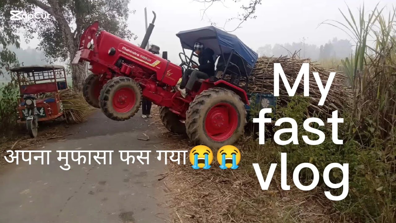 अपना मुफासा फस गया,,,😭😭😭😭