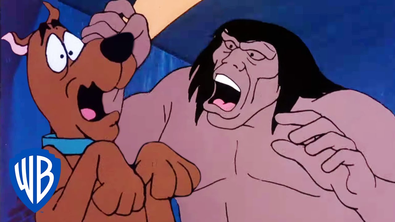 Scooby-Doo! en Latino | Corriendo por Ocean World | WB Kids