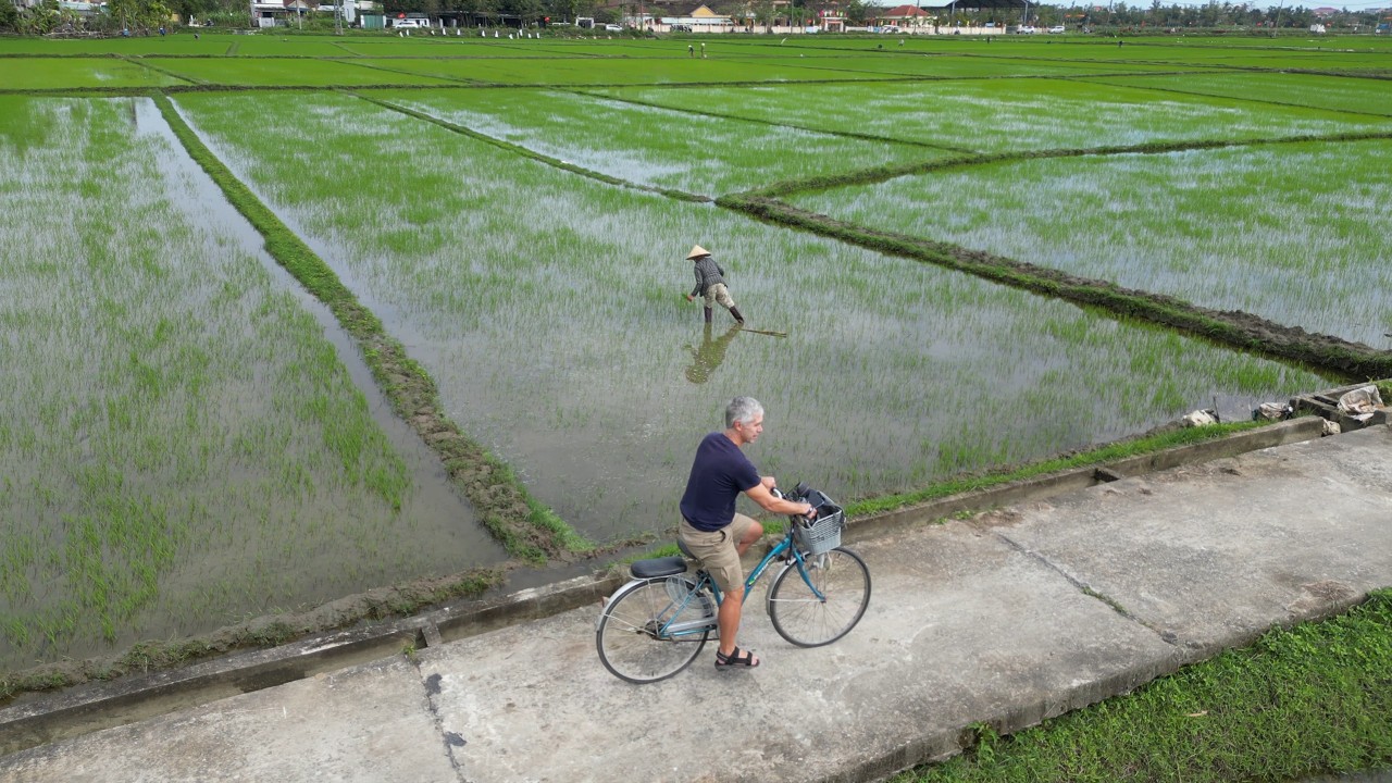 Rizière à vélo, An Hoi, Vietnam