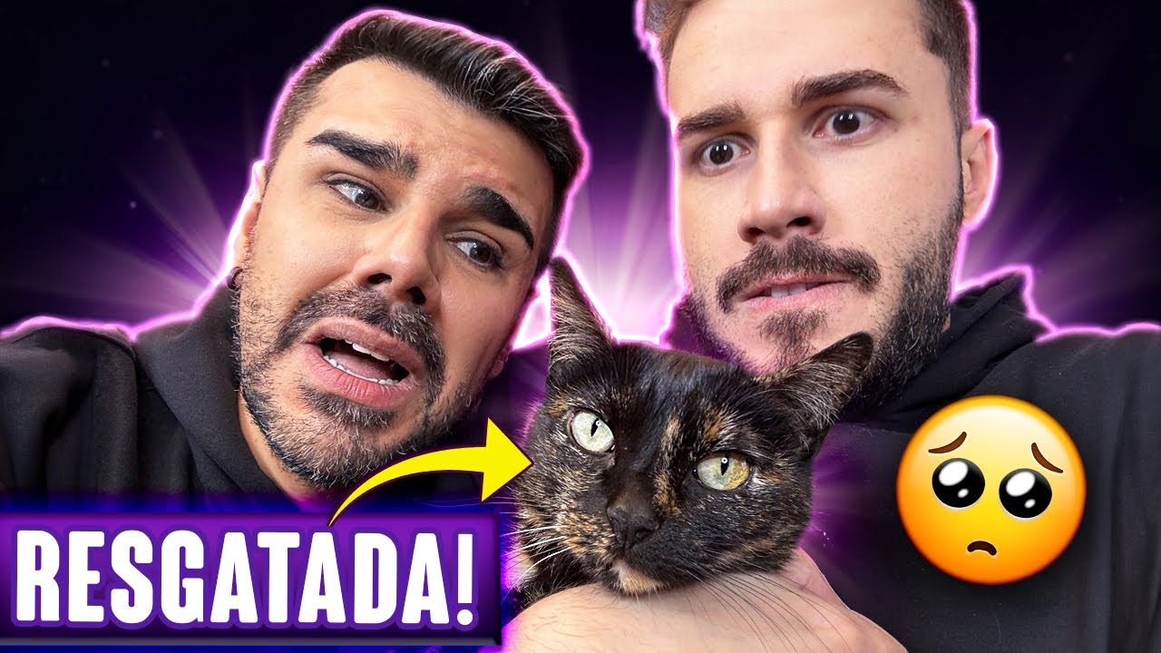 COMO ENCONTRAMOS A NOSSA GATINHA LANA! - Titi Fabri