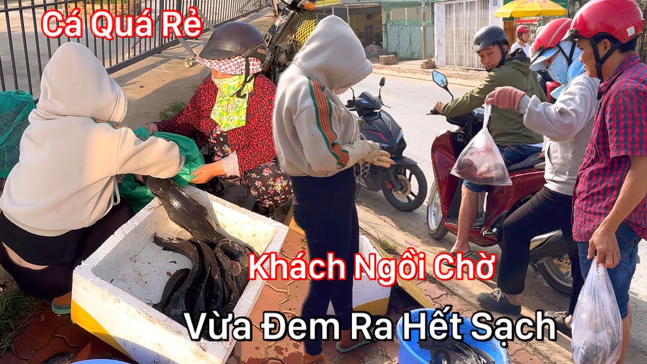 Đem Mấy Chục Ký Cá Ra Lề Đường Ngồi Bán Rất Nhiều Người Đến Hỏi Mua Hết Sạch