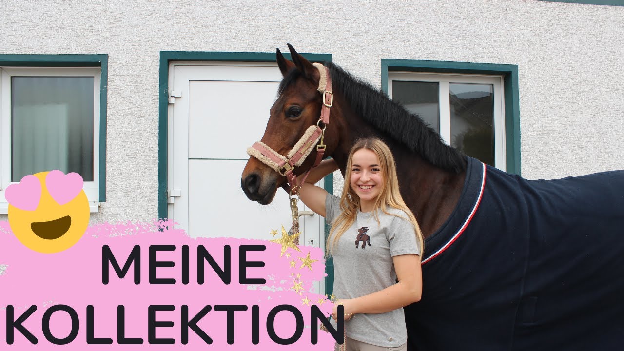 MEINE KOLLEKTION 🤩 | Royal Horsemen LAUNCH 👑 | Marina und die Ponys