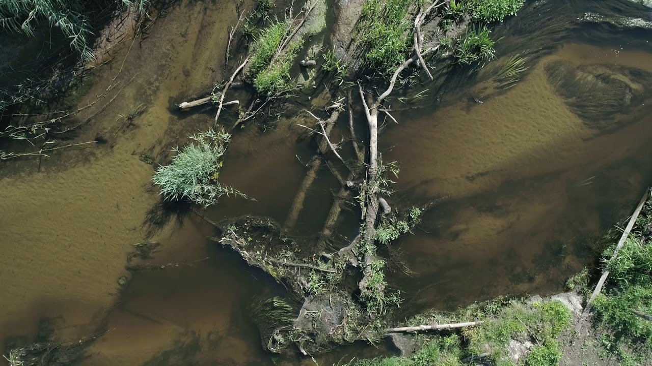 Vecht Life-IP Delta natuur
