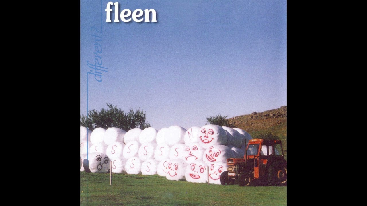 Fleen - Bridge
