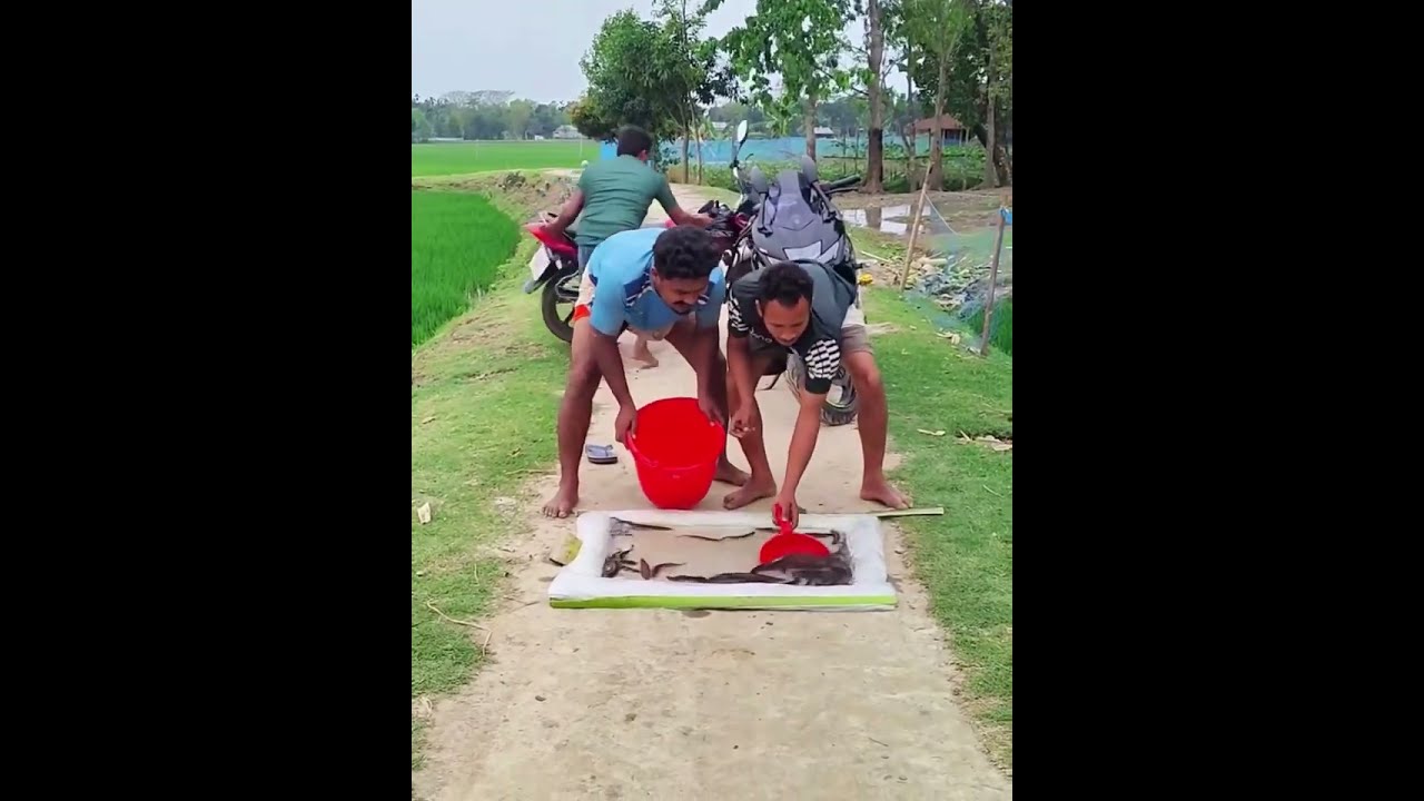 ঈদের সেরা ফানি ভিডিও 🤣😜 #trending #funny #funny #viral #villagefunny 