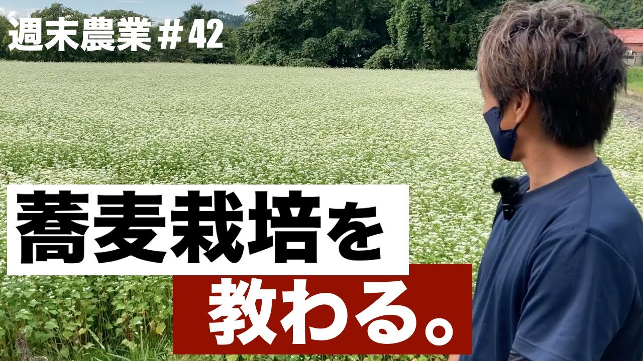 ▶︎【蕎麦】農家さんに蕎麦栽培を教わる（前編）