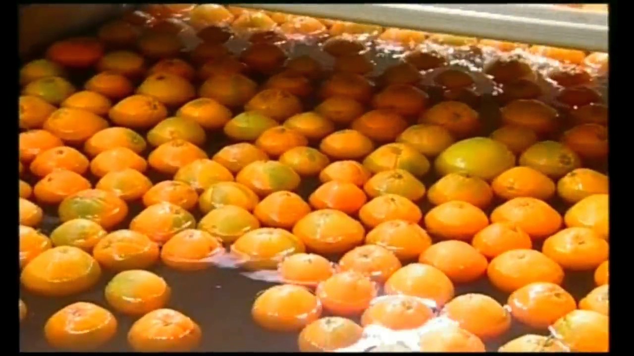 Pasqua ribera 2005