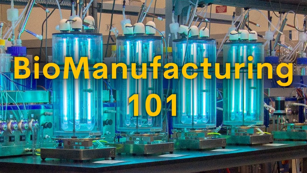 What is BioManufacturing