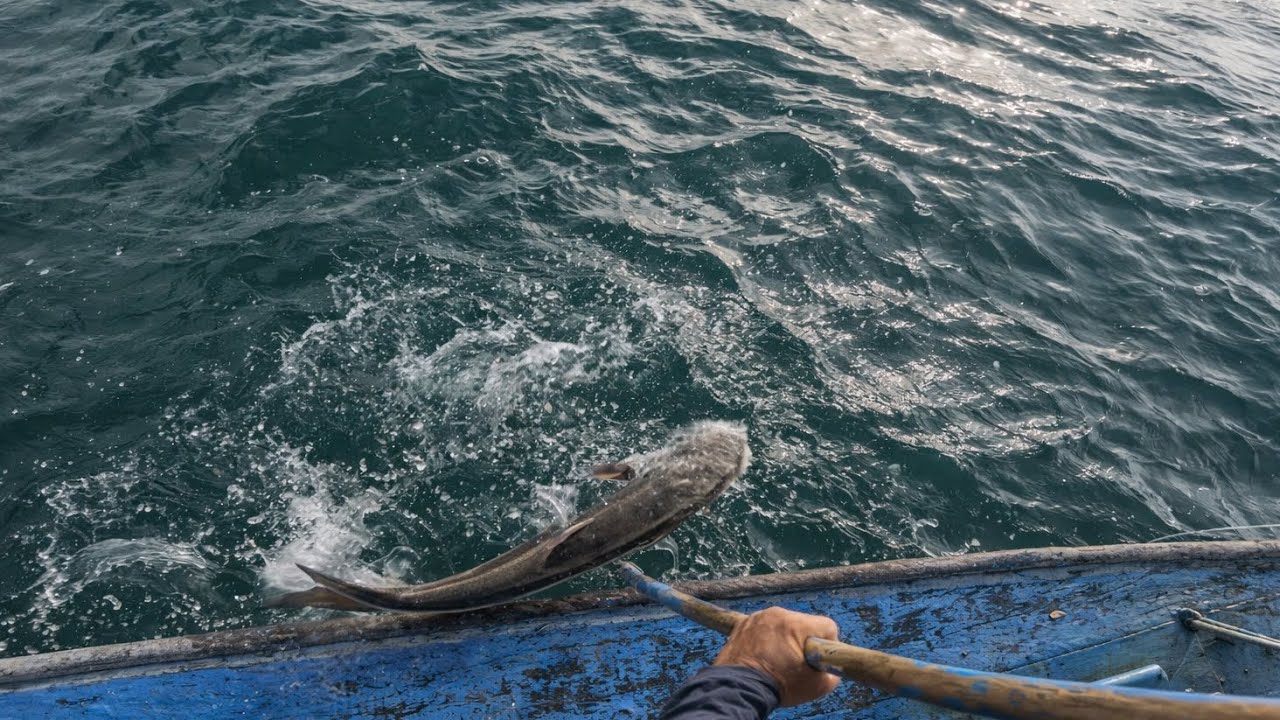 OLHA O BRUTO VINDO NA FORÇA!!! TEMPORADA DE ESPINHEL RESPONDENDO 🔥🐟😱