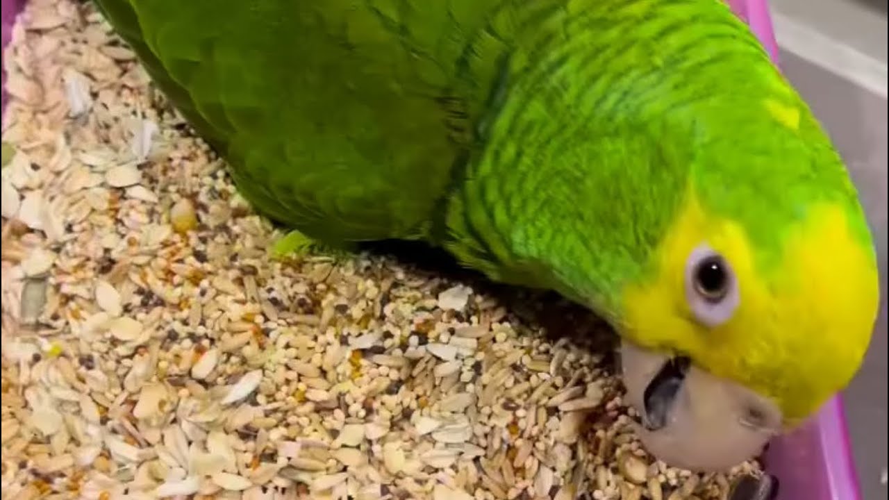 La supervisora 🤣
