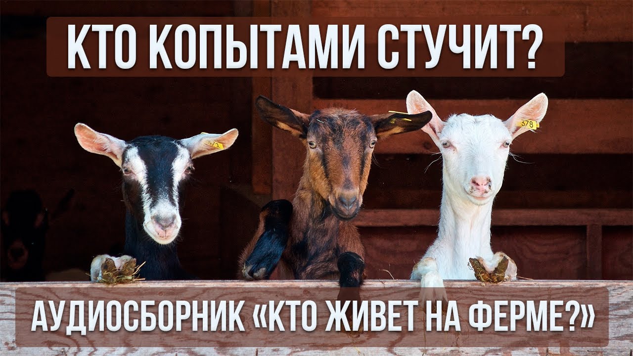 Логоритмика для малышей. 