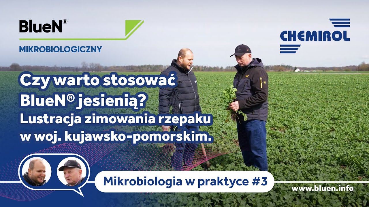 Mikrobiologia w praktyce. Czy warto stosować BlueN jesienią? Lustracja zimowania rzepaku.