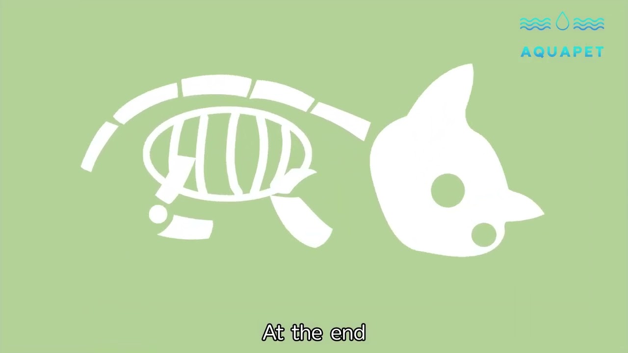 What is pet aquamation?