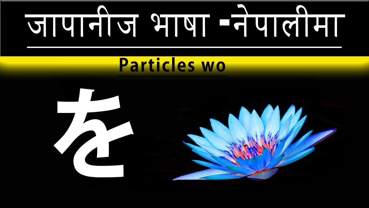 wo particles | wo particles learn |Learn Japanese in  Nepali |how to use wo particles | を particles