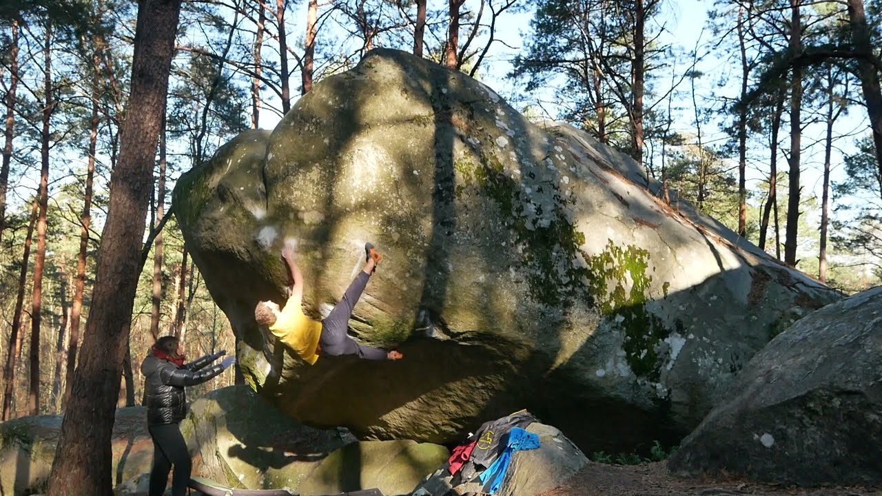 Some 7 in Fontainebleau #8